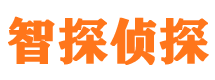 平顶山市调查公司